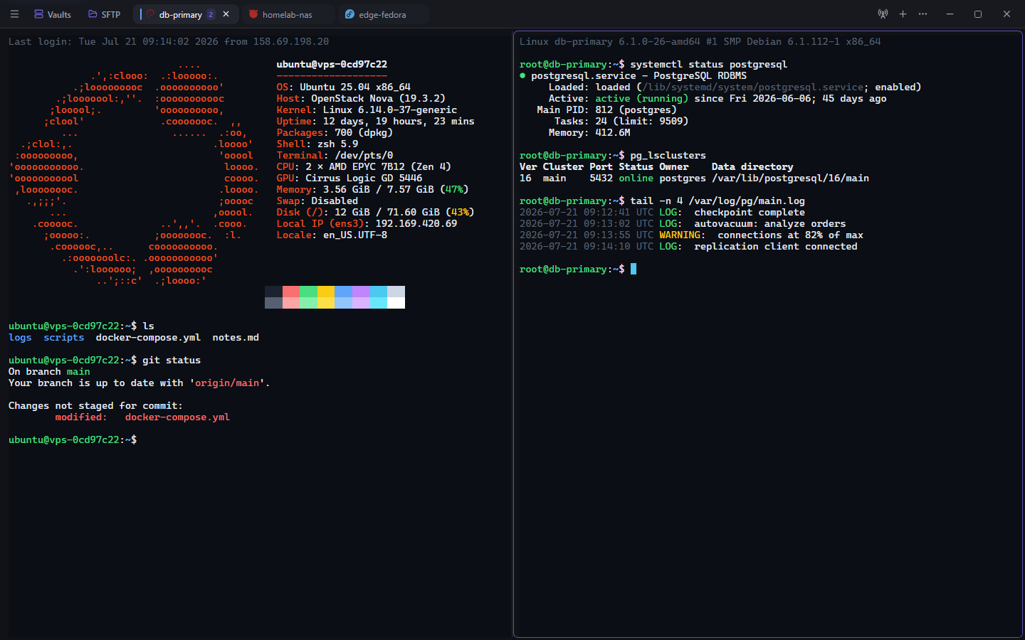 Luma terminal view with a native shell session running in a tab, rendered with xterm.js.